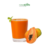 juice concentrate papaya 02- ninestars