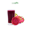 puree dragon fruit - ninestars