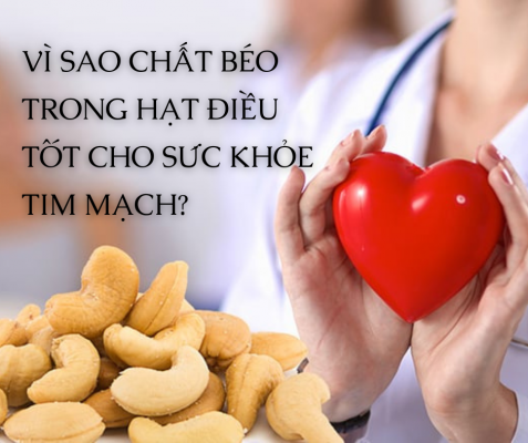 Lợi ích của chất béo có trong hạt điều