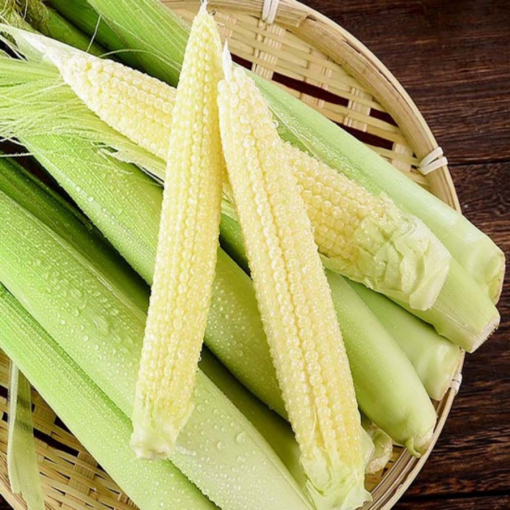 baby corn 02