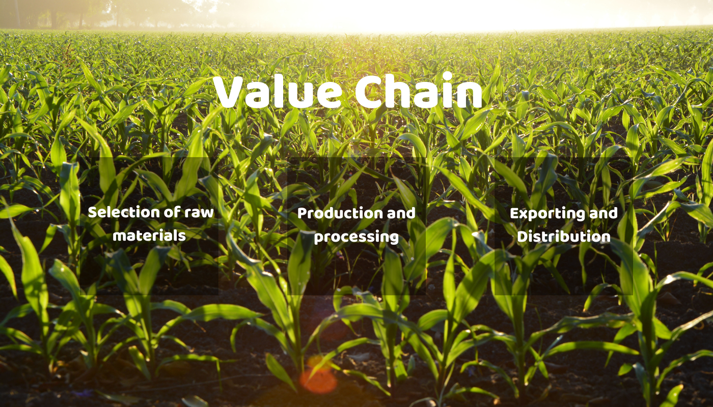 value chain Introduction to Nine Stars