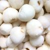 Vải đông lạnh IQF - Ảnh 2