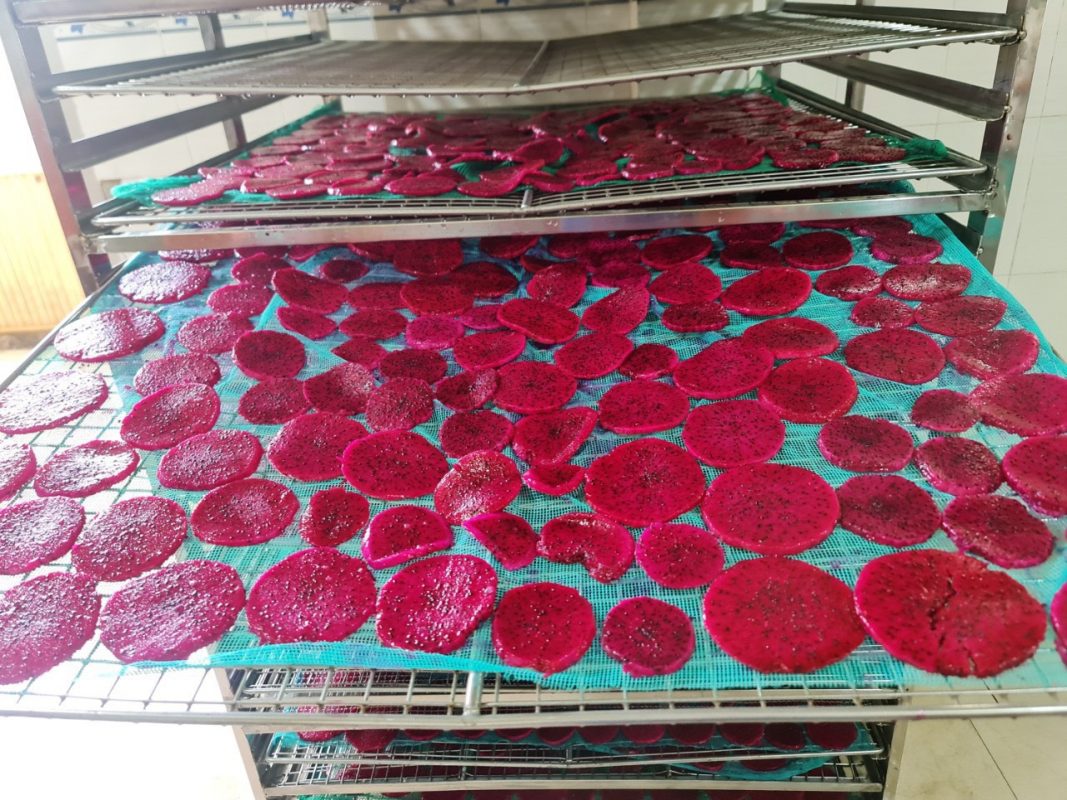 quy trình sản xuất thanh long sấy dẻo