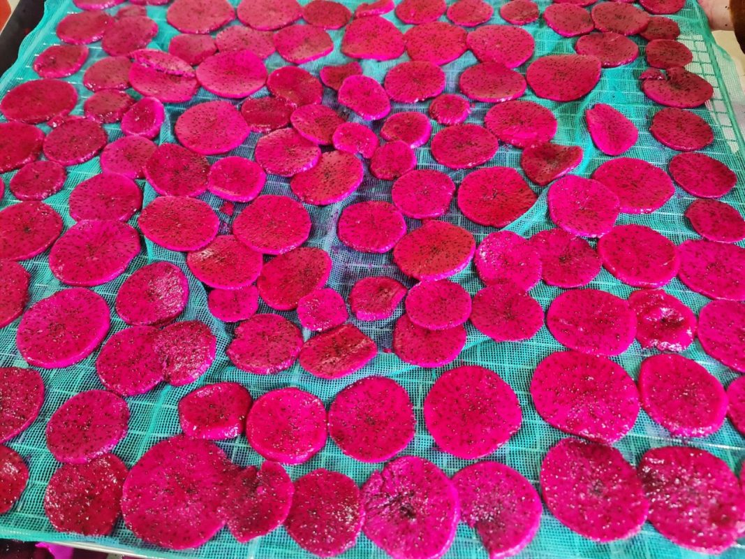thanh long sấy dẻo