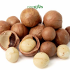 raw macadamia nut - nine stars co