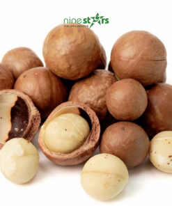 raw macadamia nut - nine stars co